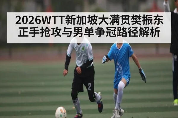 2026WTT新加坡大满贯樊振东正手抢攻与男单争冠路径解析
